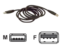 F3U134B10 Belkin Kabel mm USB kabel